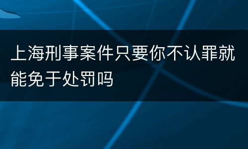 上海刑事案件只要你不认罪就能免于处罚吗
