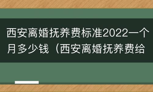西安离婚抚养费标准2022一个月多少钱（西安离婚抚养费给多少钱一个月）