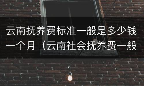 云南抚养费标准一般是多少钱一个月（云南社会抚养费一般多少钱）