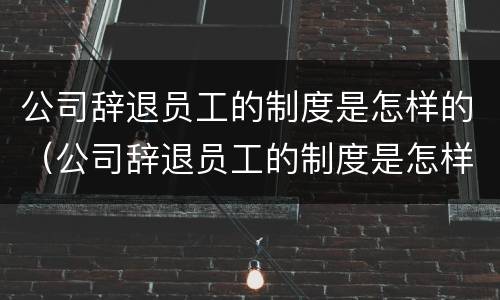 公司辞退员工的制度是怎样的（公司辞退员工的制度是怎样的呢）