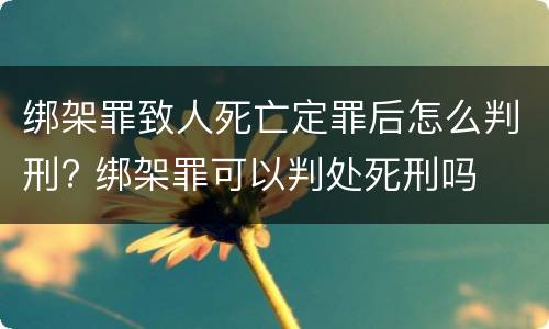 绑架罪致人死亡定罪后怎么判刑? 绑架罪可以判处死刑吗