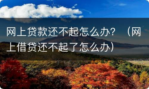 网上贷款还不起怎么办？（网上借贷还不起了怎么办）
