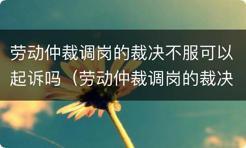 劳动仲裁调岗的裁决不服可以起诉吗（劳动仲裁调岗的裁决不服可以起诉吗）