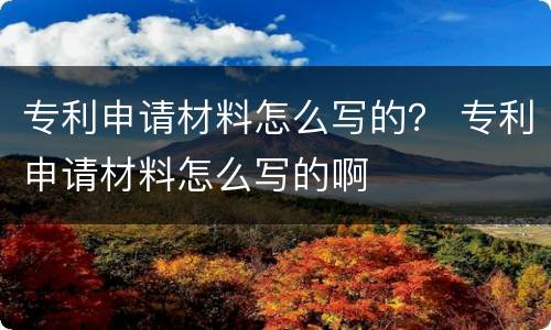 专利申请材料怎么写的？ 专利申请材料怎么写的啊