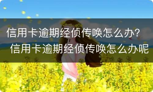信用卡逾期经侦传唤怎么办？ 信用卡逾期经侦传唤怎么办呢