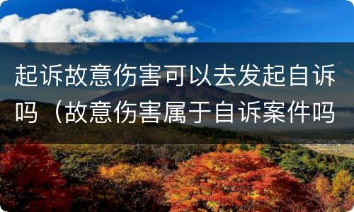 起诉故意伤害可以去发起自诉吗（故意伤害属于自诉案件吗）