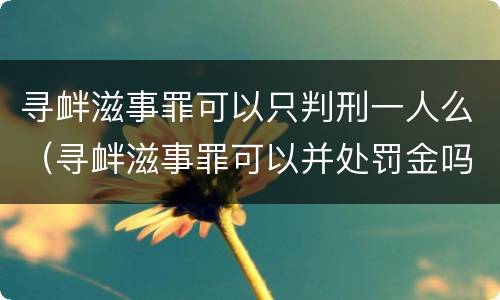 寻衅滋事罪可以只判刑一人么（寻衅滋事罪可以并处罚金吗）