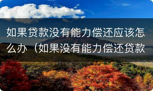 如果贷款没有能力偿还应该怎么办（如果没有能力偿还贷款了,怎么办?）