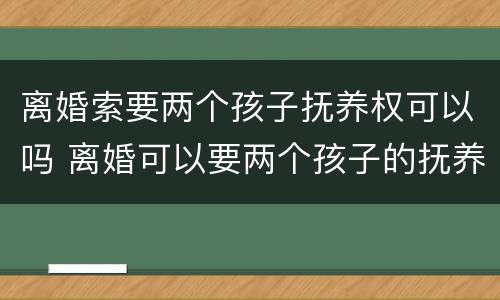 离婚索要两个孩子抚养权可以吗 离婚可以要两个孩子的抚养权吗