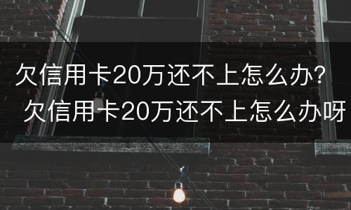 欠信用卡20万还不上怎么办？ 欠信用卡20万还不上怎么办呀