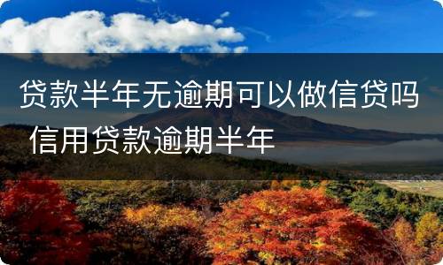 贷款半年无逾期可以做信贷吗 信用贷款逾期半年