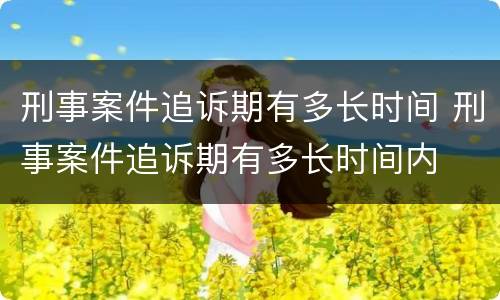 刑事案件追诉期有多长时间 刑事案件追诉期有多长时间内