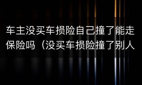 车主没买车损险自己撞了能走保险吗（没买车损险撞了别人怎么办）