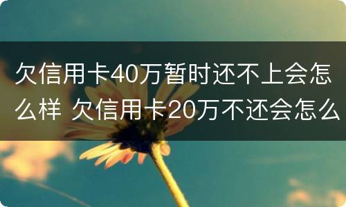 欠信用卡40万暂时还不上会怎么样 欠信用卡20万不还会怎么样