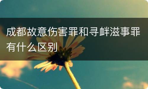 成都故意伤害罪和寻衅滋事罪有什么区别