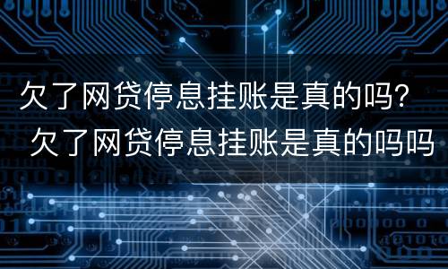 欠了网贷停息挂账是真的吗？ 欠了网贷停息挂账是真的吗吗