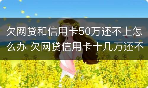 欠网贷和信用卡50万还不上怎么办 欠网贷信用卡十几万还不上怎么办