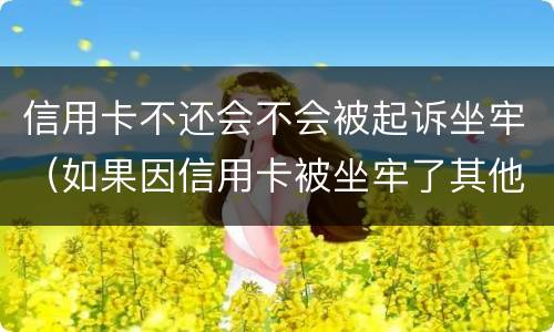 信用卡不还会不会被起诉坐牢（如果因信用卡被坐牢了其他银行还会起诉吗）