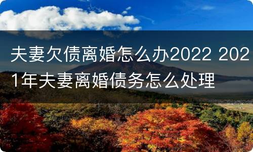 夫妻欠债离婚怎么办2022 2021年夫妻离婚债务怎么处理