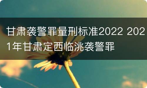 甘肃袭警罪量刑标准2022 2021年甘肃定西临洮袭警罪