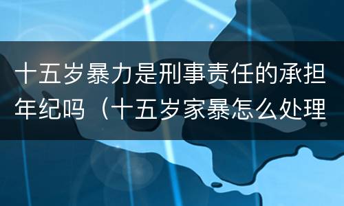 十五岁暴力是刑事责任的承担年纪吗（十五岁家暴怎么处理）