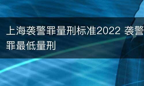 上海袭警罪量刑标准2022 袭警罪最低量刑