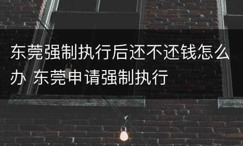 东莞强制执行后还不还钱怎么办 东莞申请强制执行