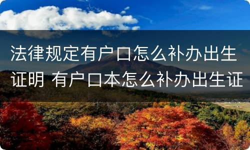 法律规定有户口怎么补办出生证明 有户口本怎么补办出生证明