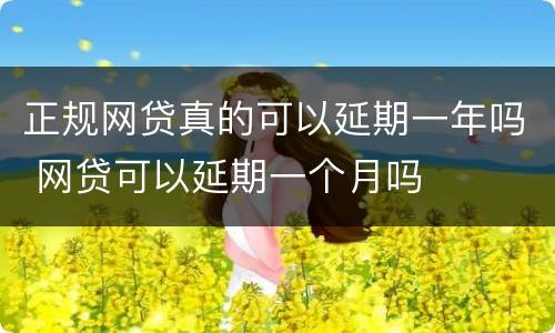 正规网贷真的可以延期一年吗 网贷可以延期一个月吗