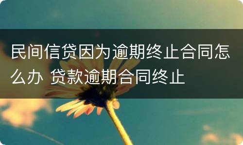 民间信贷因为逾期终止合同怎么办 贷款逾期合同终止