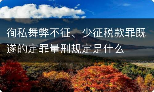 徇私舞弊不征、少征税款罪既遂的定罪量刑规定是什么