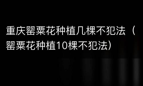 重庆罂粟花种植几棵不犯法（罂粟花种植10棵不犯法）