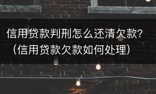 信用贷款判刑怎么还清欠款？（信用贷款欠款如何处理）