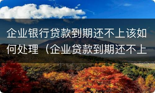 企业银行贷款到期还不上该如何处理（企业贷款到期还不上怎么办）