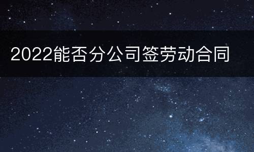 2022能否分公司签劳动合同