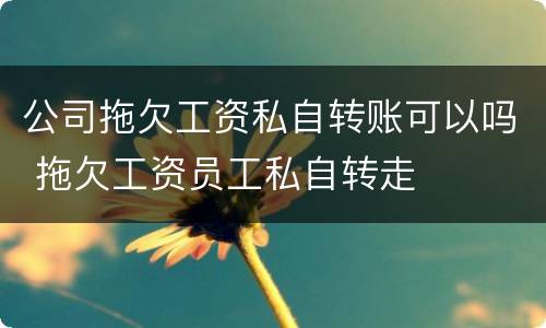 公司拖欠工资私自转账可以吗 拖欠工资员工私自转走