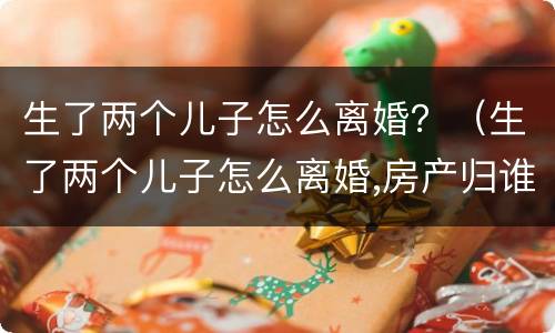 生了两个儿子怎么离婚？（生了两个儿子怎么离婚,房产归谁）