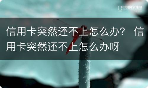 信用卡突然还不上怎么办？ 信用卡突然还不上怎么办呀