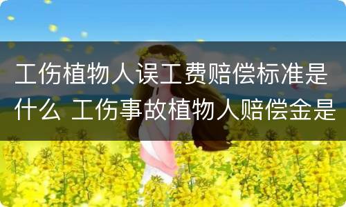 工伤植物人误工费赔偿标准是什么 工伤事故植物人赔偿金是多少钱?