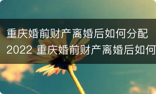 重庆婚前财产离婚后如何分配2022 重庆婚前财产离婚后如何分配2022年