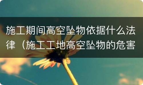 施工期间高空坠物依据什么法律（施工工地高空坠物的危害）
