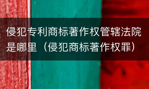 侵犯专利商标著作权管辖法院是哪里（侵犯商标著作权罪）