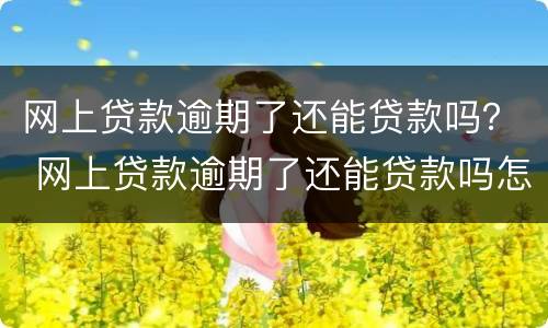 网上贷款逾期了还能贷款吗？ 网上贷款逾期了还能贷款吗怎么办