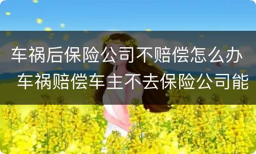 车祸后保险公司不赔偿怎么办 车祸赔偿车主不去保险公司能赔偿吗