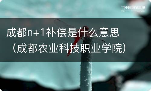 成都n+1补偿是什么意思（成都农业科技职业学院）