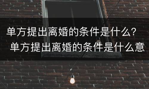 单方提出离婚的条件是什么？ 单方提出离婚的条件是什么意思