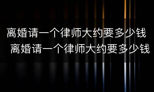 离婚请一个律师大约要多少钱 离婚请一个律师大约要多少钱呀