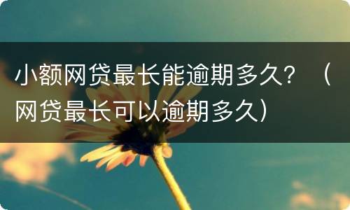 小额网贷最长能逾期多久？（网贷最长可以逾期多久）