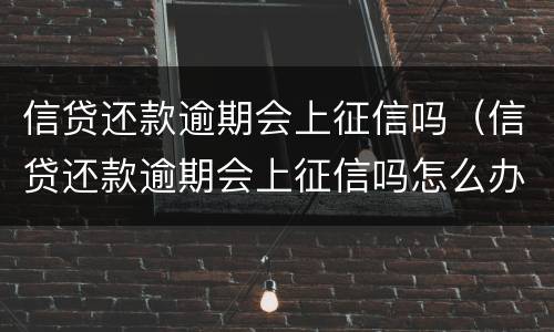 信贷还款逾期会上征信吗（信贷还款逾期会上征信吗怎么办）