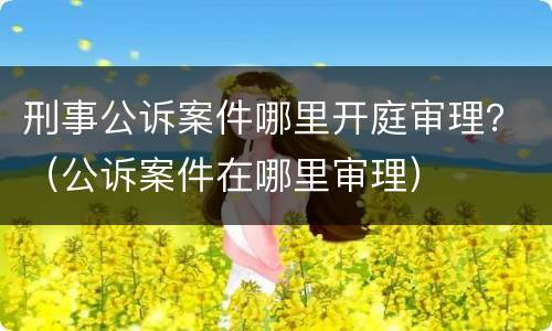刑事公诉案件哪里开庭审理？（公诉案件在哪里审理）